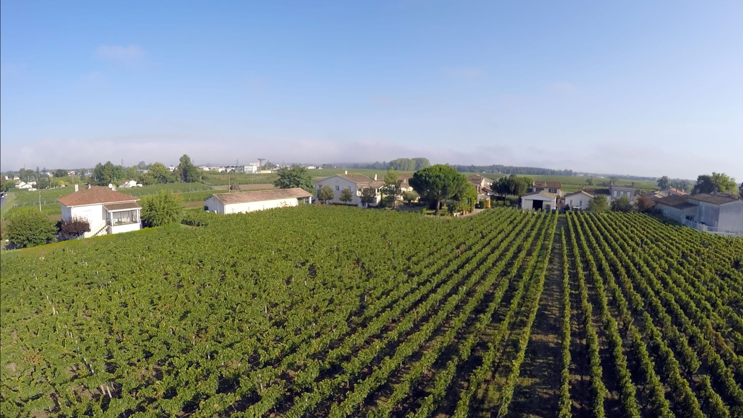 Château Bellegrave, Pomerol and organic at the same time